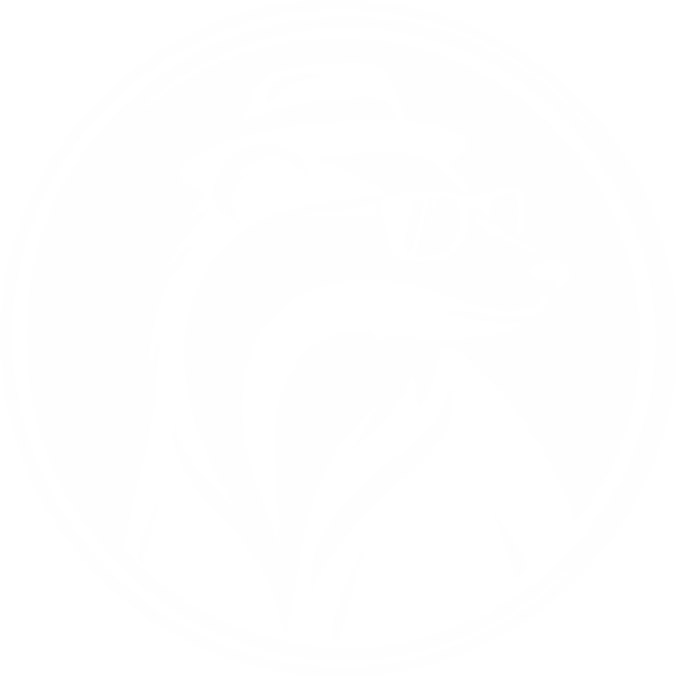 Logo-Mascota-Positron-Clothing-Blanco